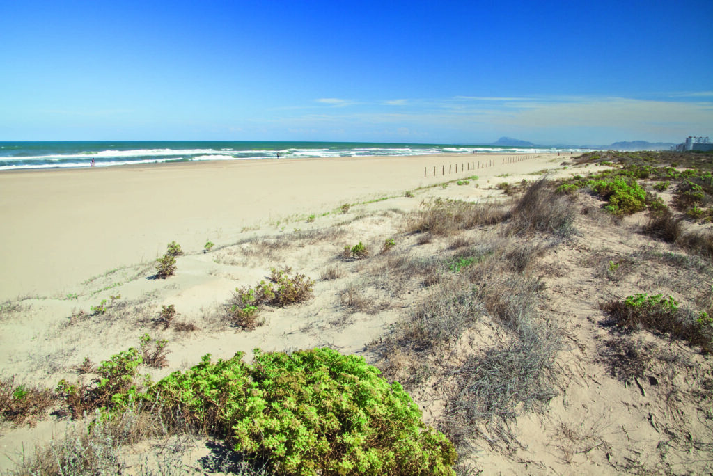 La playa de l’Ahuir (Gandía)